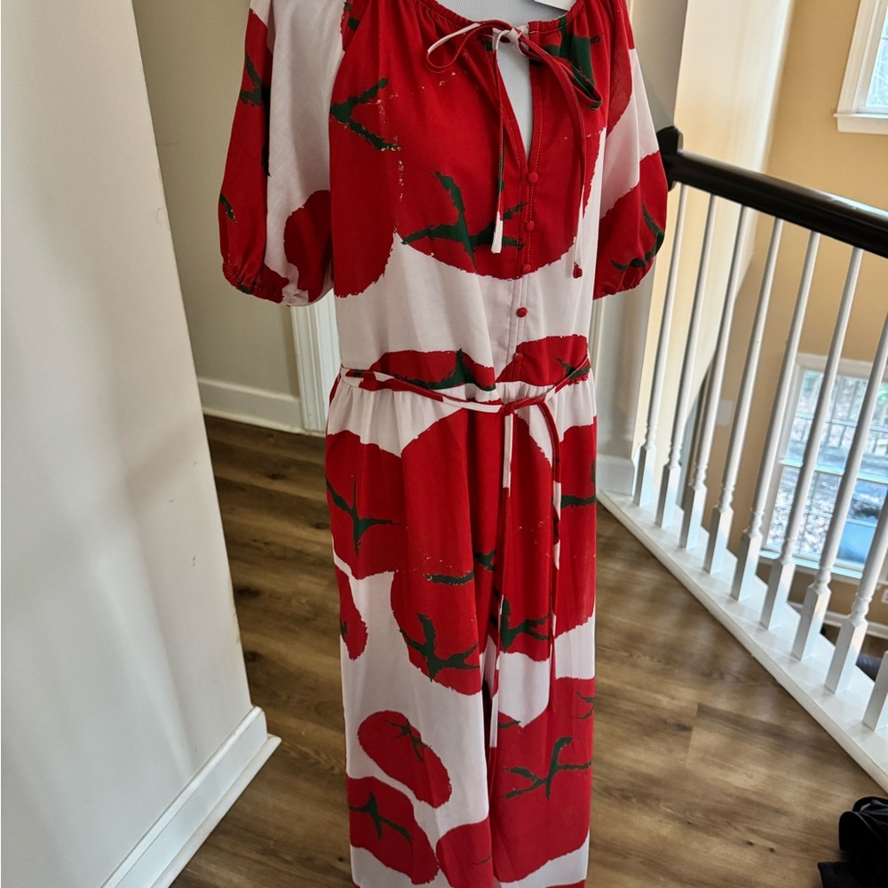 Red and White Tomato Print Dress
